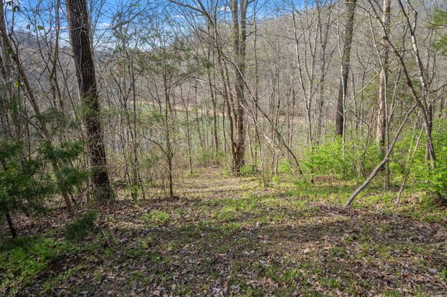 929 Old Casey Cove Rd, Smithville, TN 37166