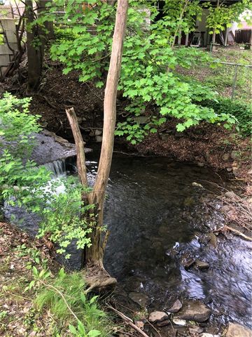 1 Rose Avenue, Oneonta, NY 13820