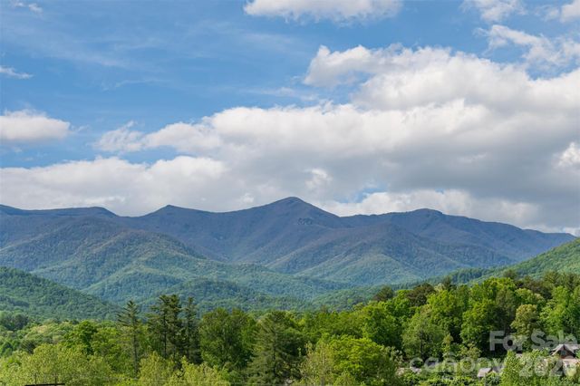25 Rantis Lane, Black Mountain, NC 28711
