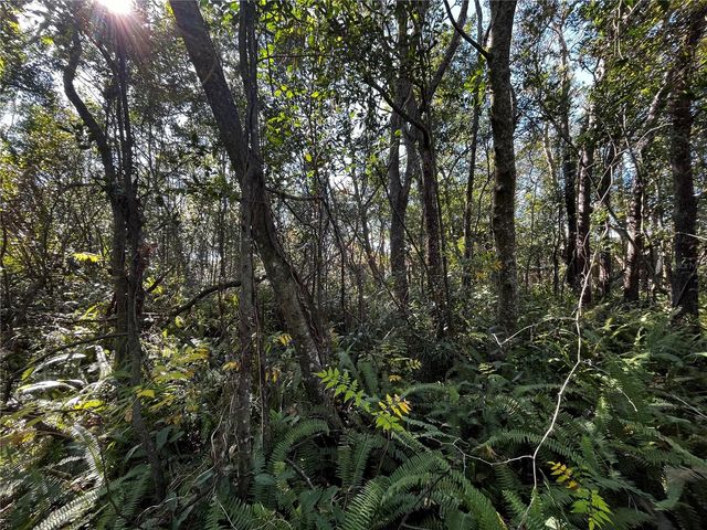 2293 MARIETTA AVENUE, Spring Hill, FL 34608