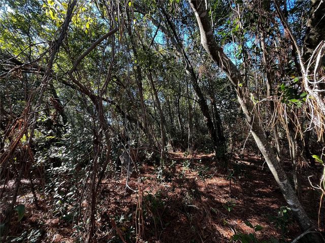 2293 MARIETTA AVENUE, Spring Hill, FL 34608