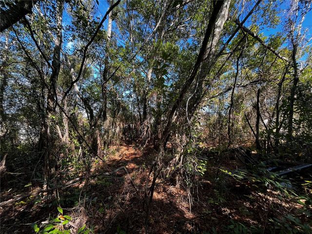 2293 MARIETTA AVENUE, Spring Hill, FL 34608