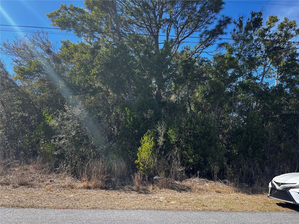 2293 MARIETTA AVENUE, Spring Hill, FL 34608