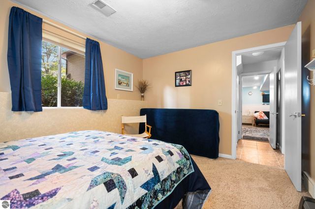 3855 White Birch Drive, Grawn, MI 49637