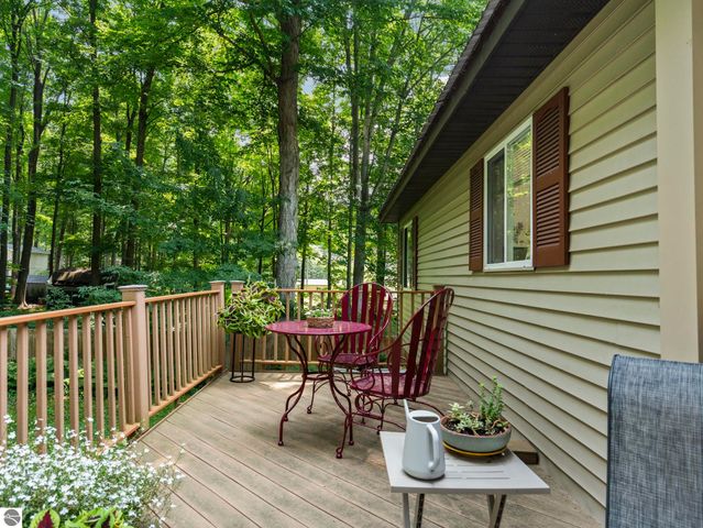 3855 White Birch Drive, Grawn, MI 49637