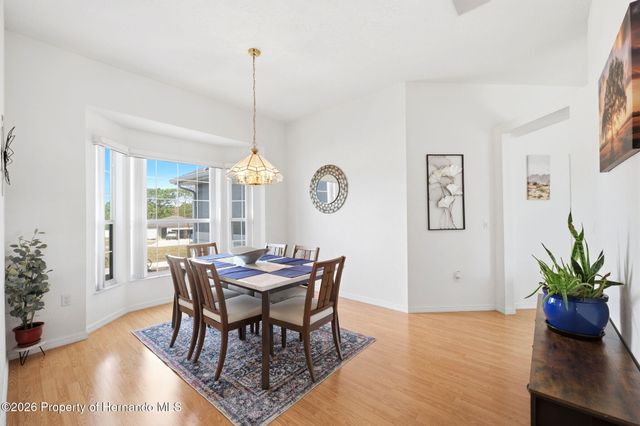6101 Krista Drive, Spring Hill, FL 34609