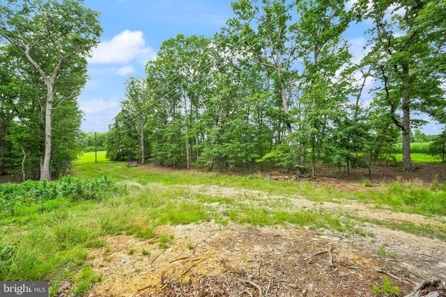 28266 TATUM RD, Unionville, VA 22567