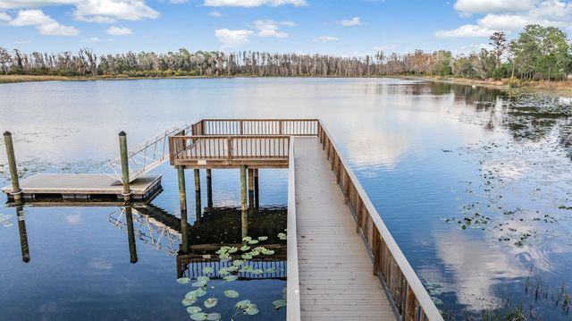 19308 BREYNIA DRIVE, Lutz, FL 33558