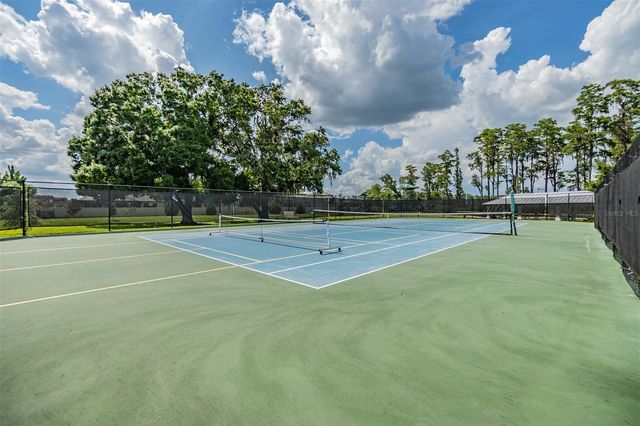 19308 BREYNIA DRIVE, Lutz, FL 33558