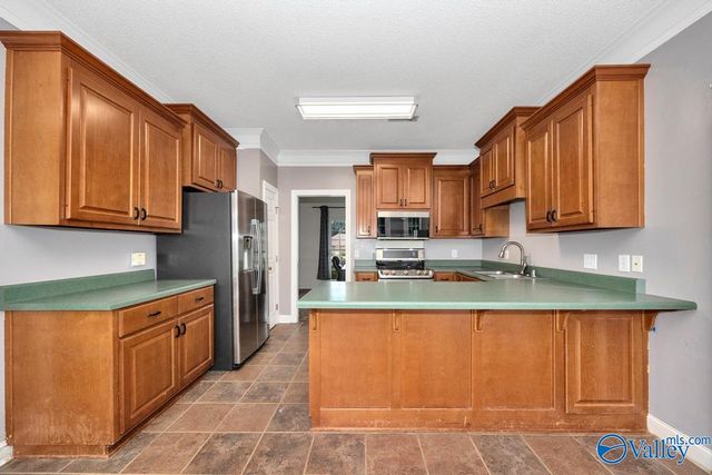 111 Worchester Lane, Harvest, AL 35749
