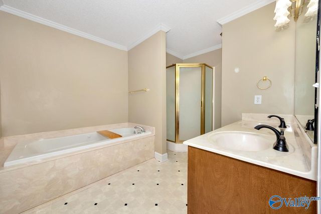 111 Worchester Lane, Harvest, AL 35749