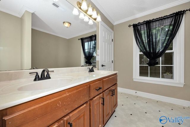 111 Worchester Lane, Harvest, AL 35749