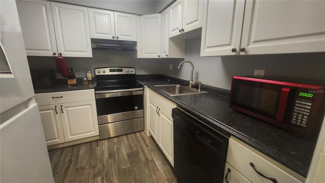 7519 DOLONITA DRIVE 7519, Tampa, FL 33615