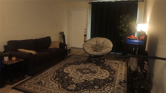 7519 DOLONITA DRIVE 7519, Tampa, FL 33615