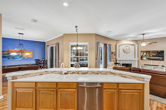 380 SPEYSIDE LANE, Apopka, FL 32712