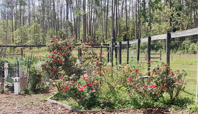3184 SONGBIRD CIRCLE, Harmony, FL 34773