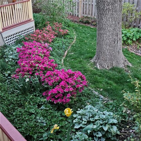 401 S Harrison Street, Olathe, KS 66061