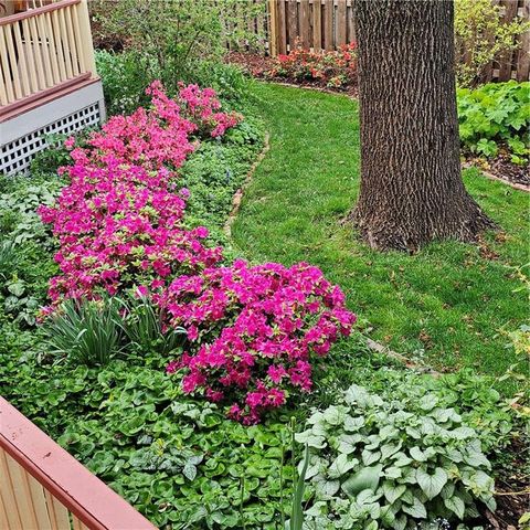 401 S Harrison Street, Olathe, KS 66061