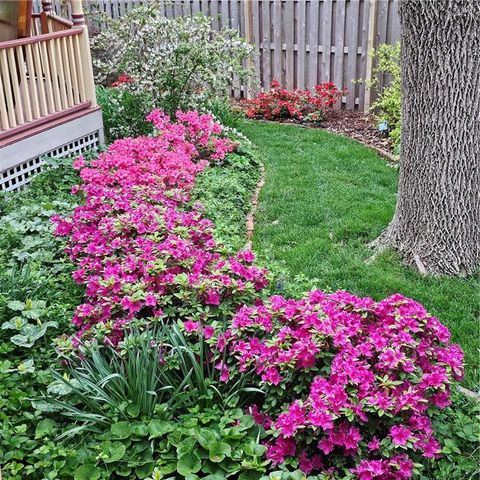 401 S Harrison Street, Olathe, KS 66061