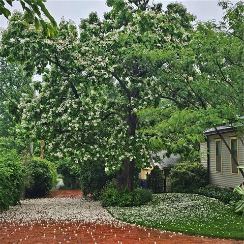 401 S Harrison Street, Olathe, KS 66061