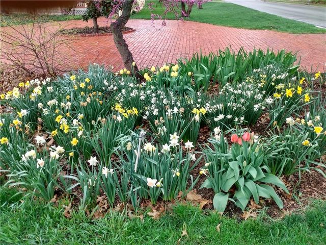 401 S Harrison Street, Olathe, KS 66061