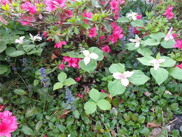 401 S Harrison Street, Olathe, KS 66061