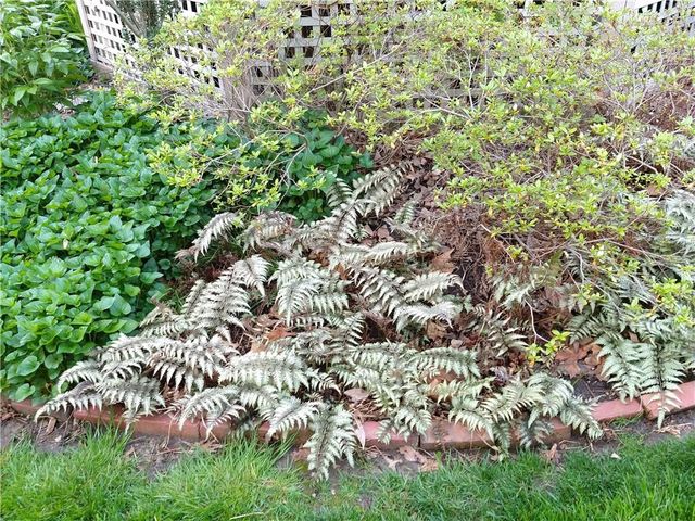 401 S Harrison Street, Olathe, KS 66061