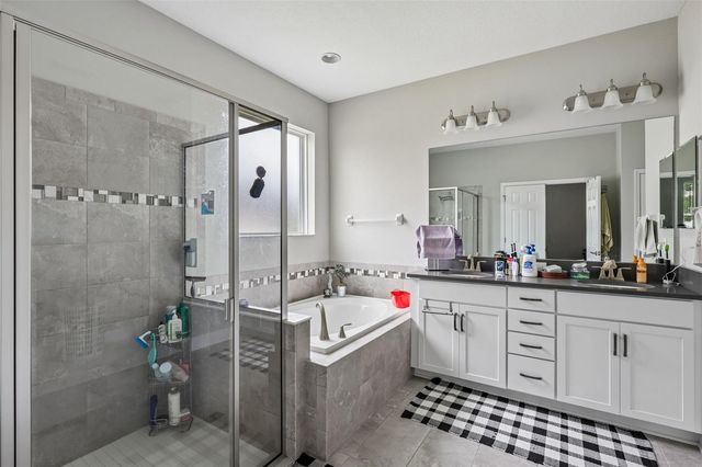 8210 MALLOW MIRROR LANE, Land O Lakes, FL 34637