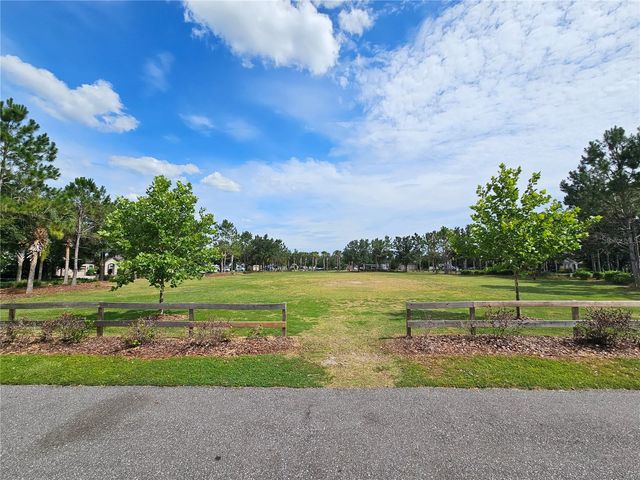 8210 MALLOW MIRROR LANE, Land O Lakes, FL 34637