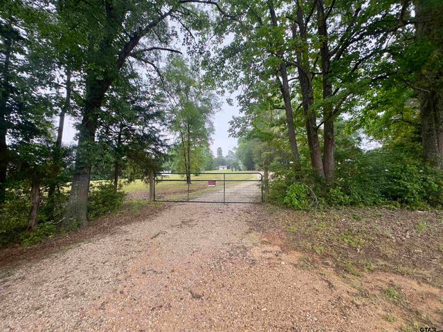 1538 FM 918, Overton, TX 75684