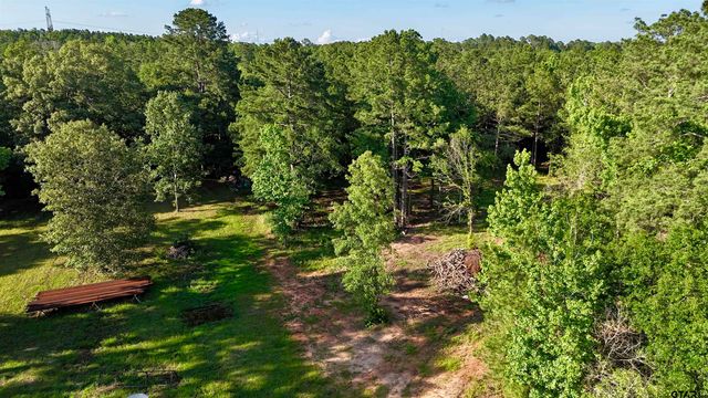 1538 FM 918, Overton, TX 75684