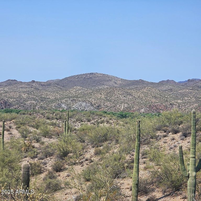 5xxxx N 292nd Avenue 0, Wickenburg, AZ 85390 — photo 2