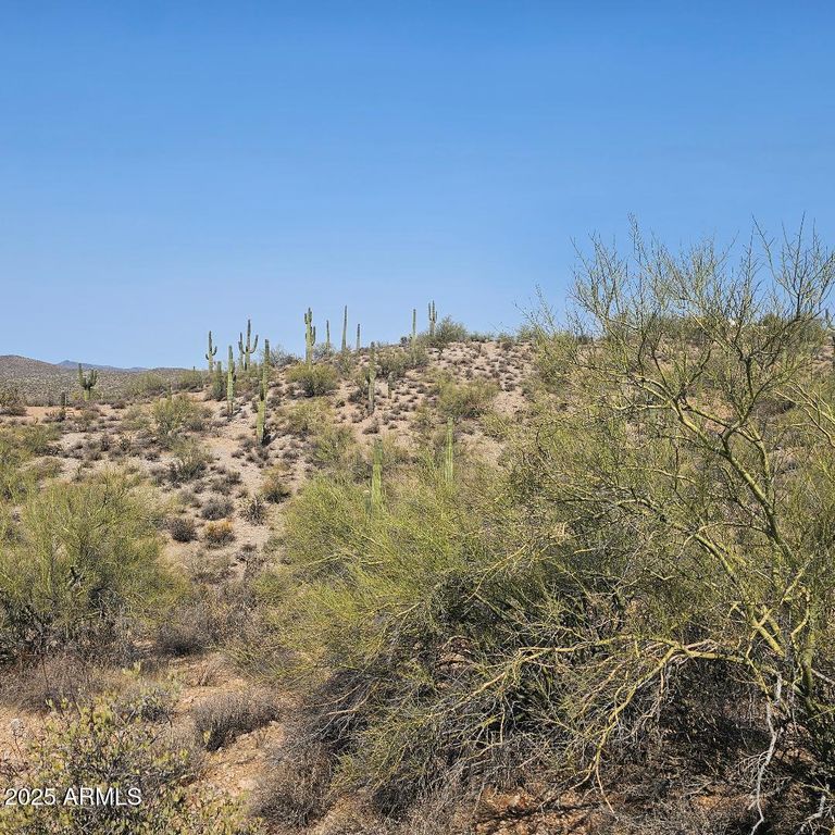 5xxxx N 292nd Avenue 0, Wickenburg, AZ 85390 — photo 4