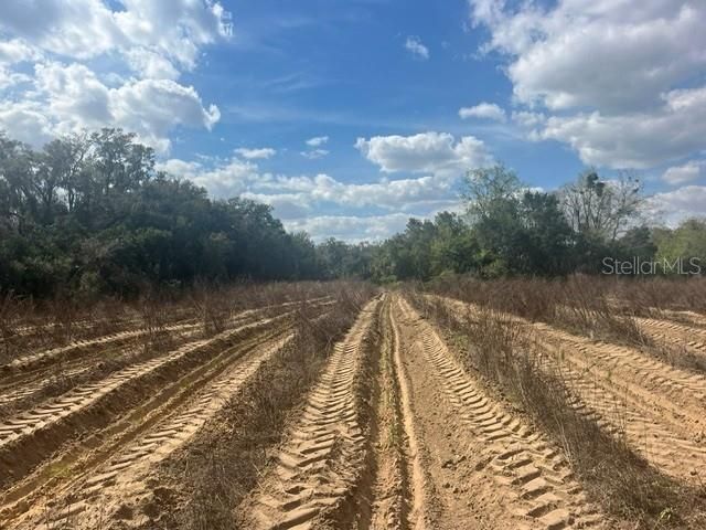 SE 132ND STREET, Summerfield, FL 34491