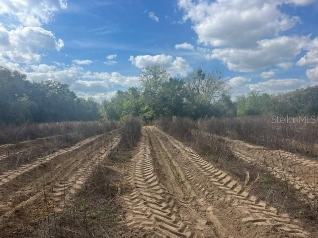SE 132ND STREET, Summerfield, FL 34491