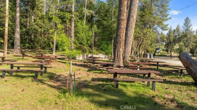 11 Toyon, Berry Creek, CA 95916