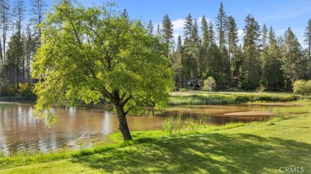 11 Toyon, Berry Creek, CA 95916