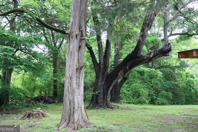 88 Railroad Avenue, Carlton, GA 30627