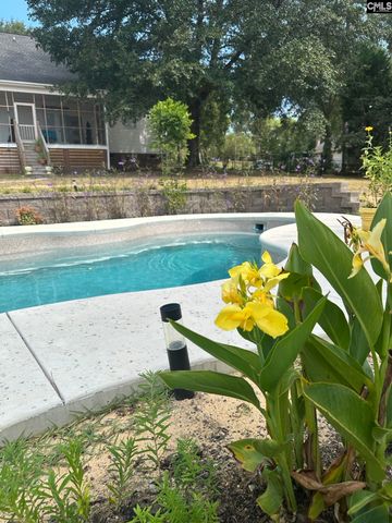 115 Candlelight Drive, West Columbia, SC 29170