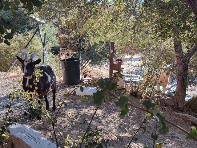 3131 Whispering Pines Rd, Pinon Hills, CA 92397