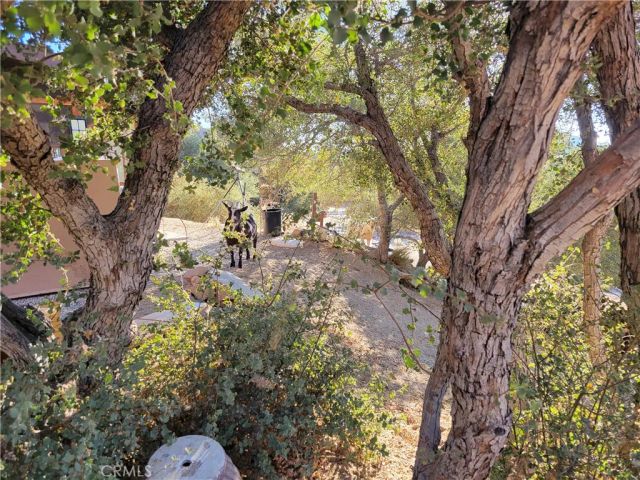 3131 Whispering Pines Rd, Pinon Hills, CA 92397