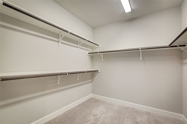 1817 Arbor Drive, Forney, TX 75126