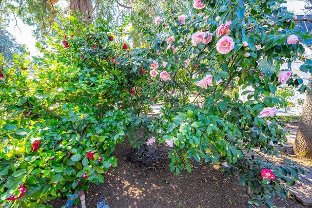 5891 Church St, Foresthill, CA 95631