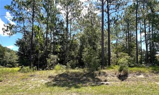 0000 SW 68 LOOP LOOP, Dunnellon, FL 34432