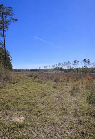 925 County Line Road, Shepherd, TX 77371