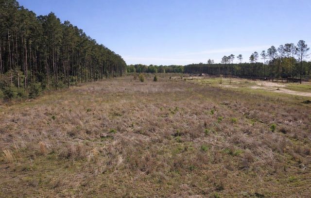 925 County Line Road, Shepherd, TX 77371