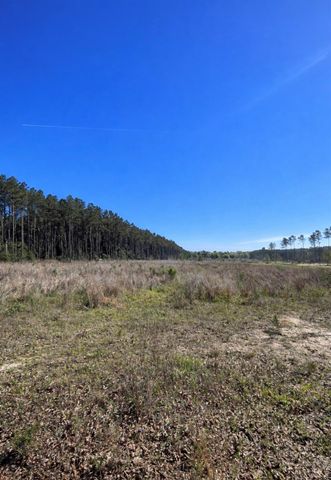 925 County Line Road, Shepherd, TX 77371