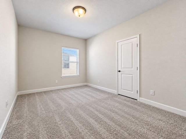 146 Dove Springs Court, Conroe, TX 77304