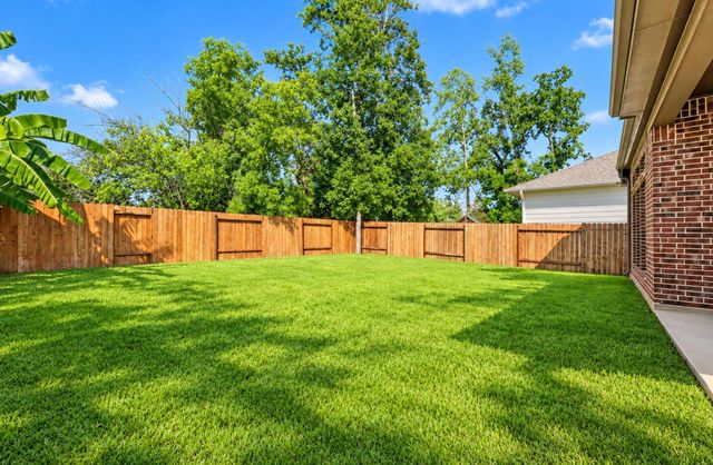 146 Dove Springs Court, Conroe, TX 77304