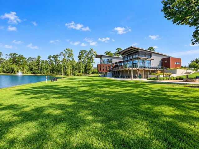 146 Dove Springs Court, Conroe, TX 77304